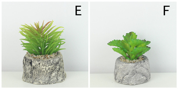 Mini Succulent Artificial Potted Plants Strange Shape Green Platsic Material