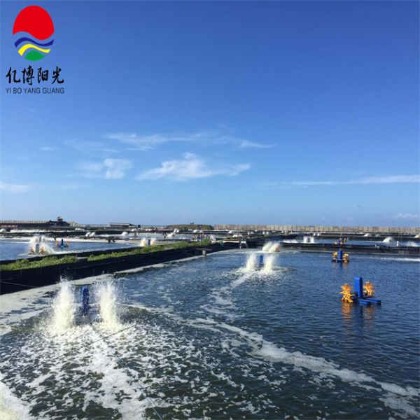 HDPE Geomembrane Liner Plastic Sheet for Fish Farming Water Tank Environmentally Friendly