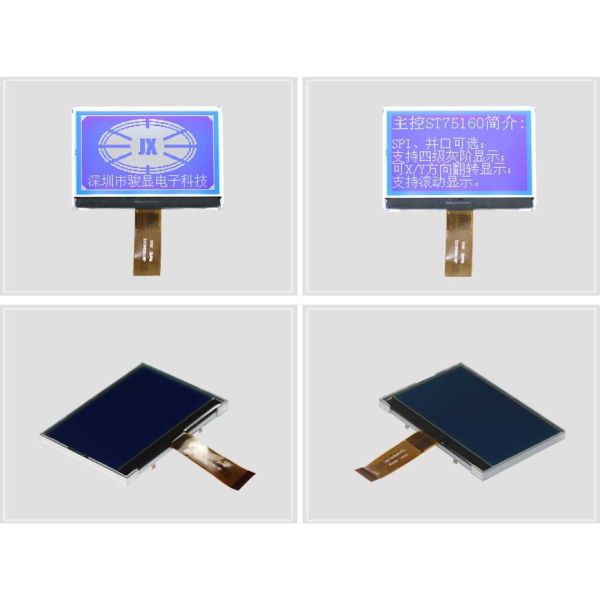 2.5 Inch COG Monochrome LCD Display 150cd/m2 Graphic LCD Screen With SPI4 Interface