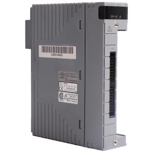 Quality AAI543-H53 S1 YOKOGAWA Analog Output Module for sale