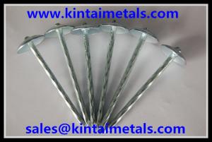 9 gauge x 2.5 galvanized umbrella head roofing nails