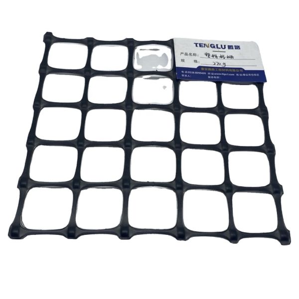 Highway Maintenance Black and White Grass Net Mat with Stable Biaxial Plastic Geogrid