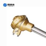 Precise Temperature Transmitter Sensor for Temperature Regulation in Industrial
