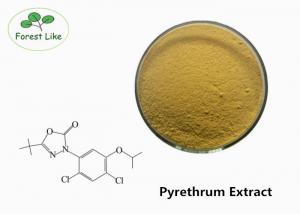 Quality Natural Pyrethrum Extract Pyrethrin 50% CAS 8003-34-7 Brown Pesticide Powder for sale