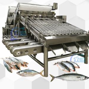 Fish Classifying Machine For Small Fish And Fish Classifying Equipment Classifying System
